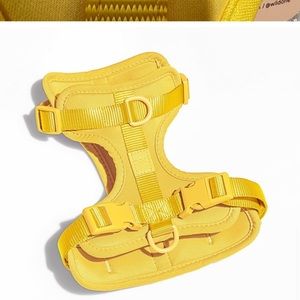 Wild one butter NWT dog harness size XS